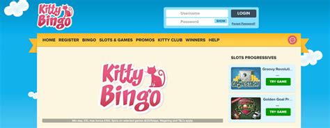 kitty bingo login